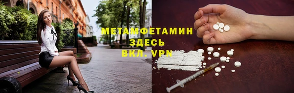 мет Ельня