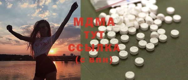 гидра Елабуга