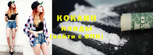 мет Ельня
