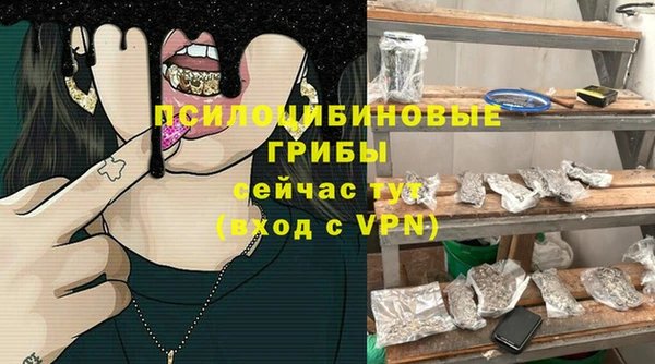 гидра Елабуга