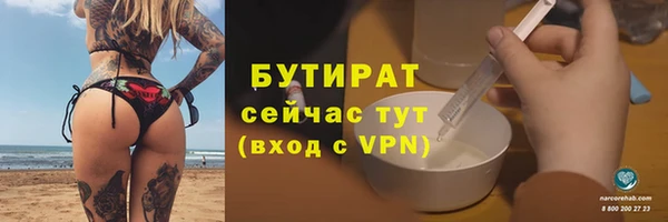 гидра Елабуга