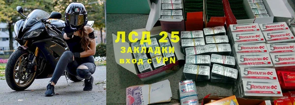 гидра Елабуга
