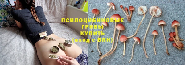 мет Ельня
