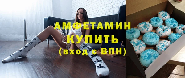 мет Ельня