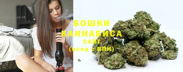 мет Ельня