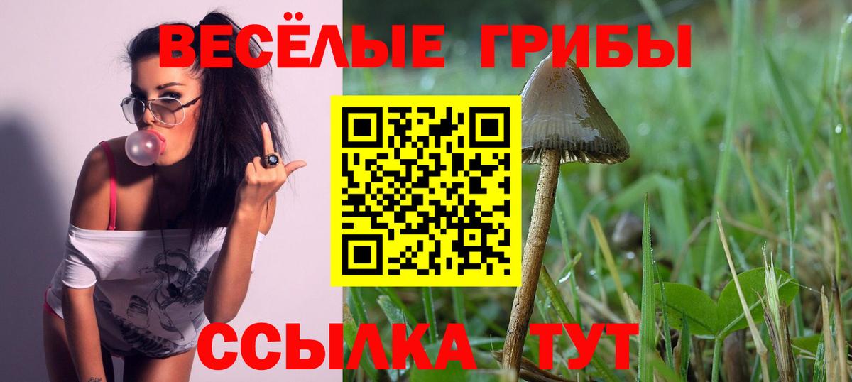 продажа наркотиков  Галлюциногенные грибы мицелий  Вход с VPN  Звенигород 